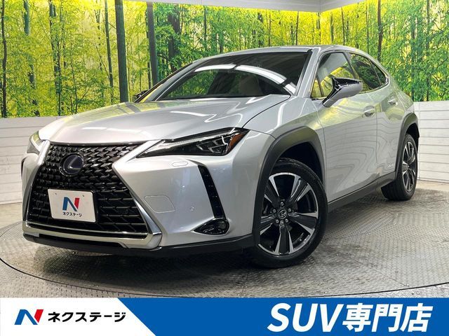 TOYOTA / LEXUS UX250h