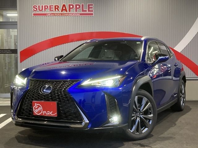 TOYOTA / LEXUS UX250h AWD
