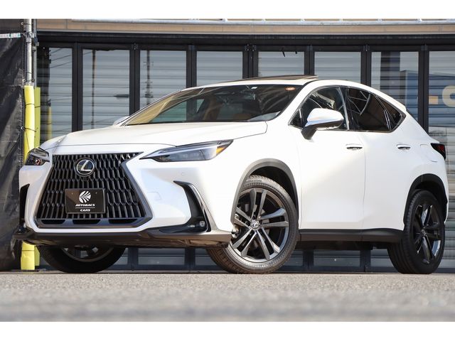 TOYOTA / LEXUS NX250
