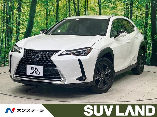 TOYOTA / LEXUS UX250h