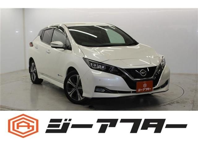 NISSAN / LEAF