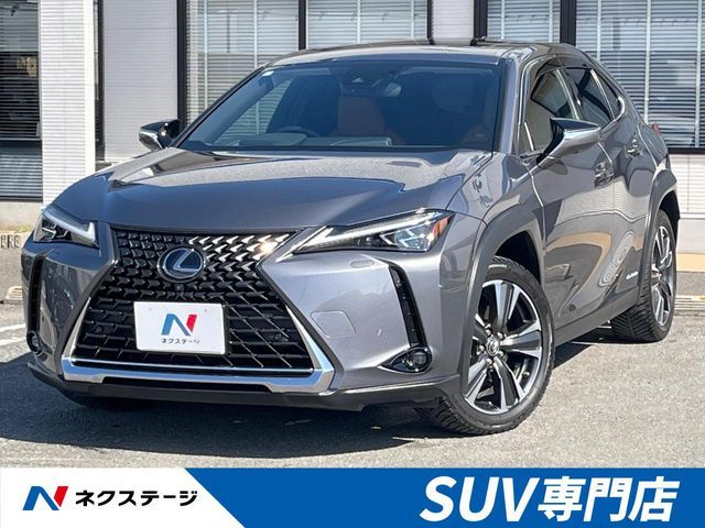 TOYOTA / LEXUS UX250h