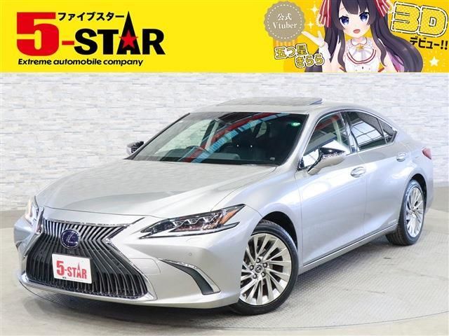 TOYOTA / LEXUS ES300h