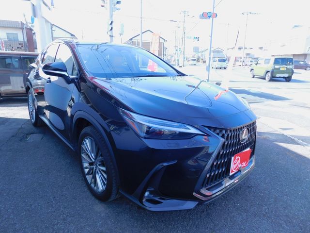 TOYOTA / LEXUS NX250