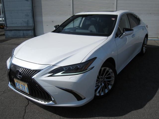 TOYOTA / LEXUS ES300h