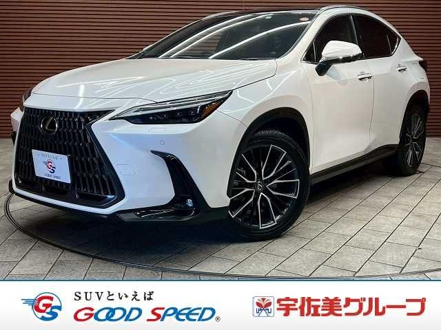 TOYOTA / LEXUS NX250