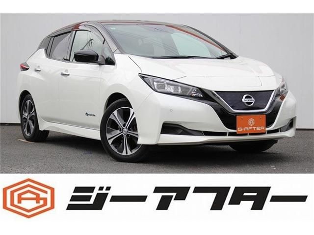 NISSAN / LEAF