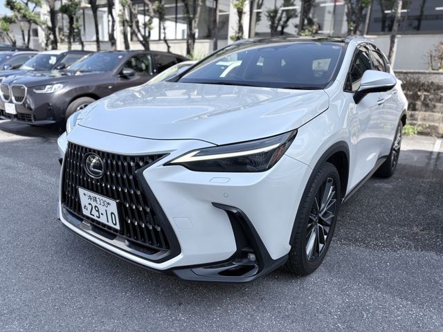 TOYOTA / LEXUS NX250