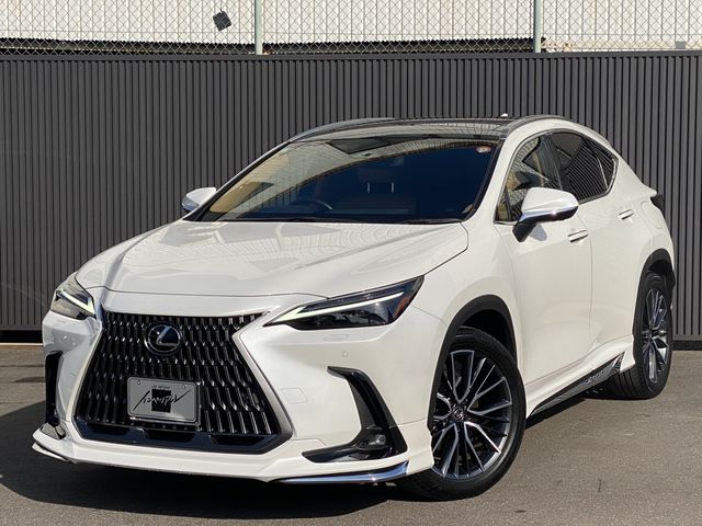TOYOTA / LEXUS NX250