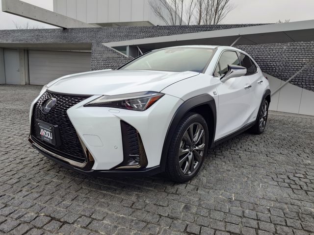 TOYOTA / LEXUS UX250h