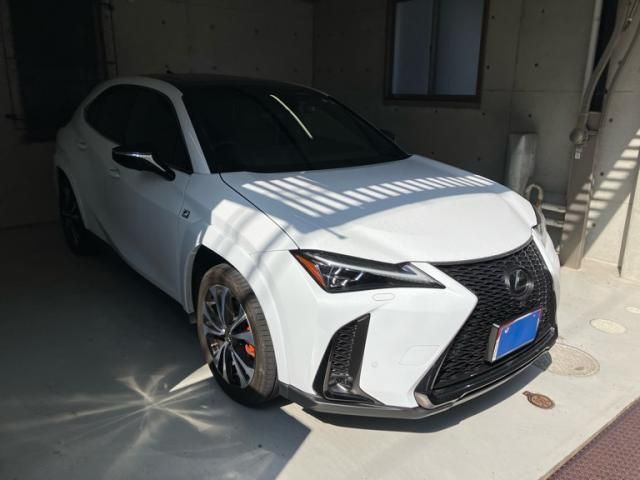 TOYOTA / LEXUS UX250h