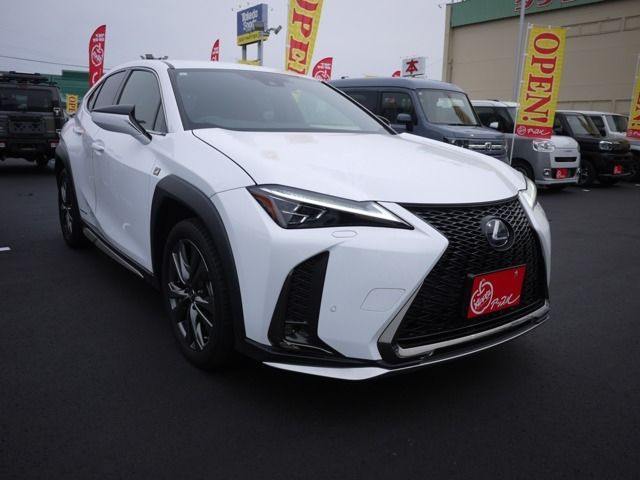 TOYOTA / LEXUS UX250h AWD