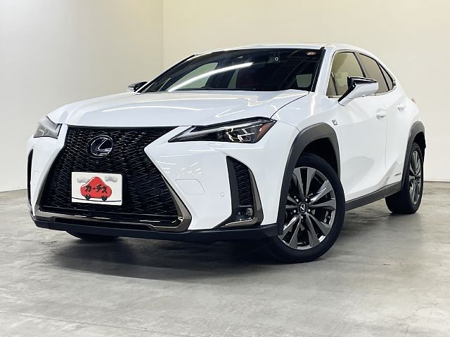 TOYOTA / LEXUS UX250h