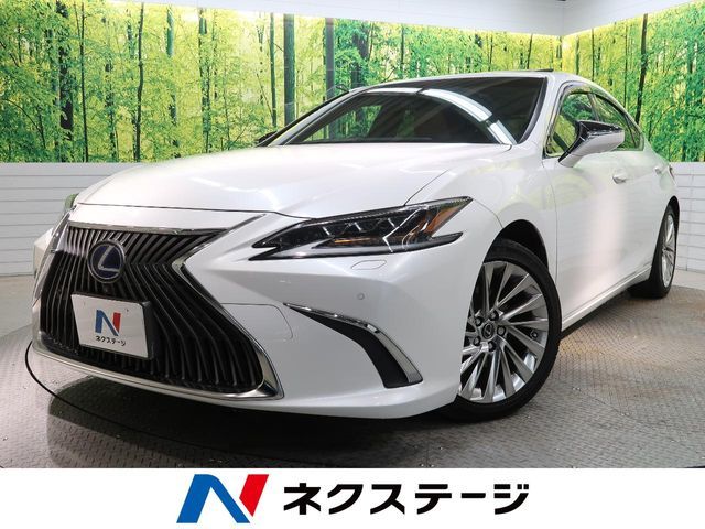 TOYOTA / LEXUS ES300h