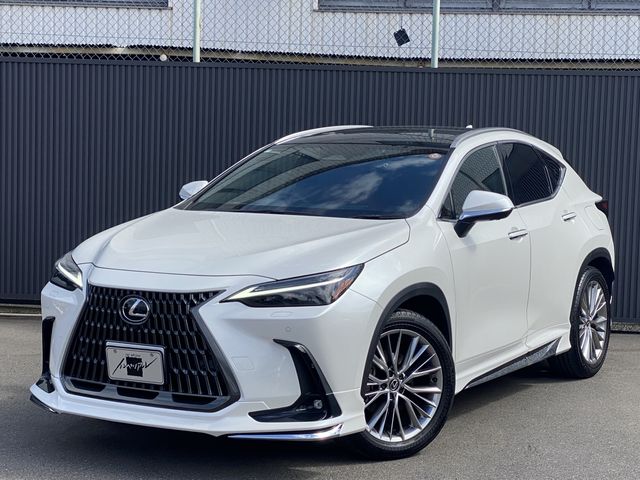 TOYOTA / LEXUS NX250