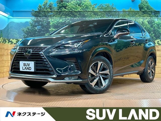 TOYOTA / LEXUS NX300