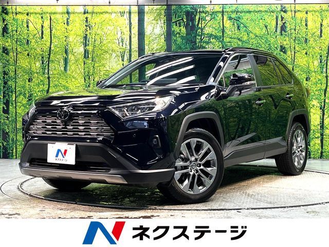TOYOTA / RAV4 4WD
