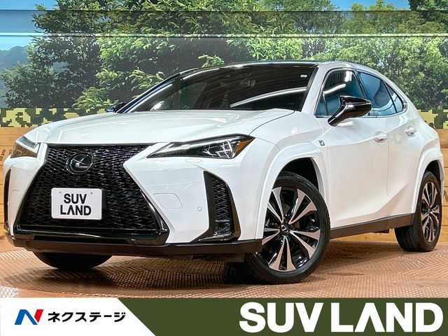 TOYOTA / LEXUS UX250h