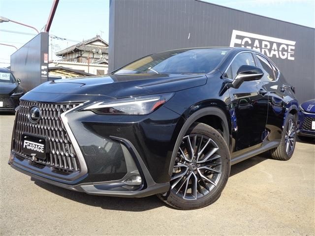 TOYOTA / LEXUS NX250