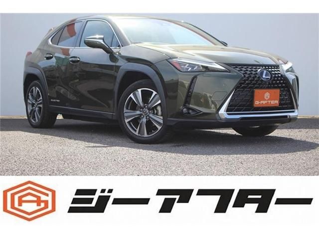 TOYOTA / LEXUS UX300e