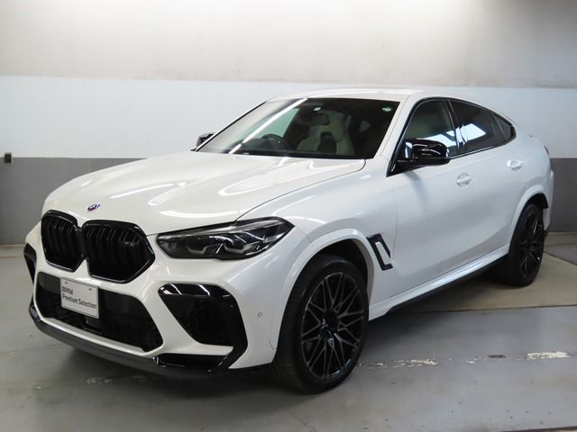 BMW / BMW X6 M