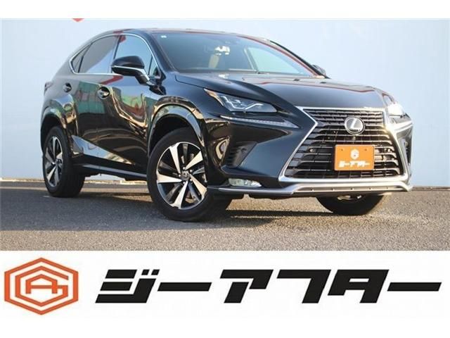 TOYOTA / LEXUS NX300