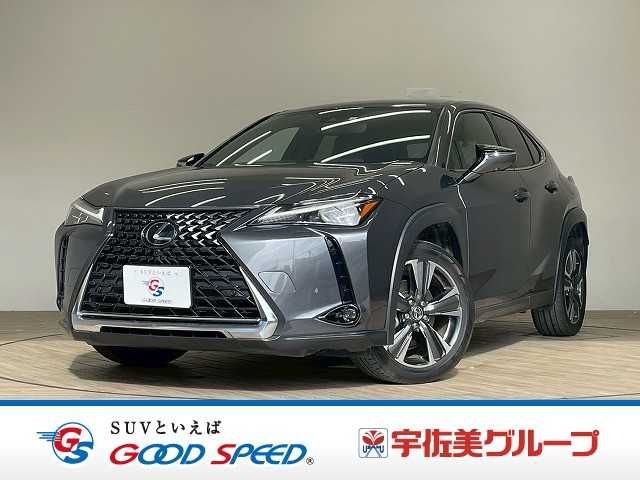 TOYOTA / LEXUS UX250h