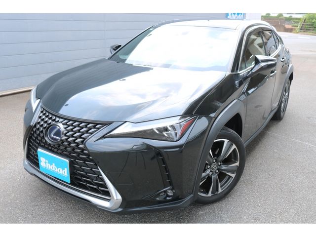 TOYOTA / LEXUS UX250h