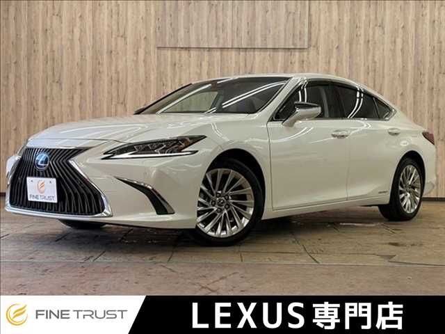 TOYOTA / LEXUS ES300h