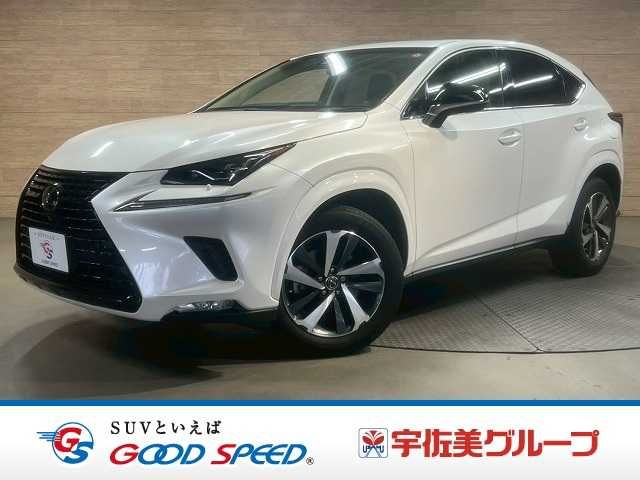 TOYOTA / LEXUS NX300