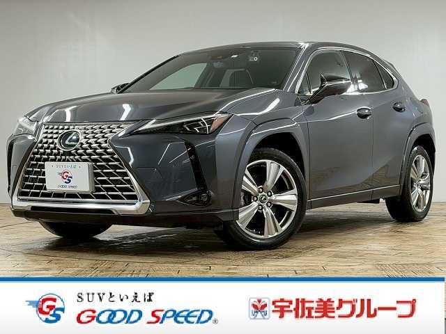 TOYOTA / LEXUS UX250h