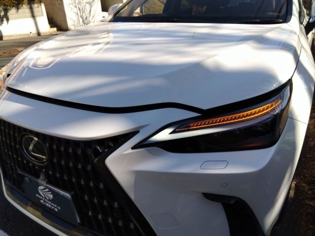 TOYOTA / LEXUS NX250