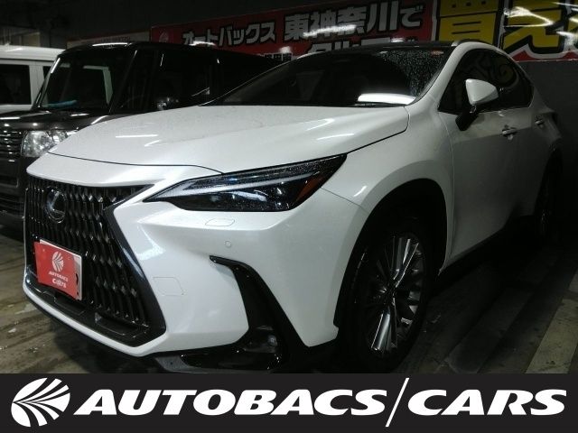 TOYOTA / LEXUS NX250
