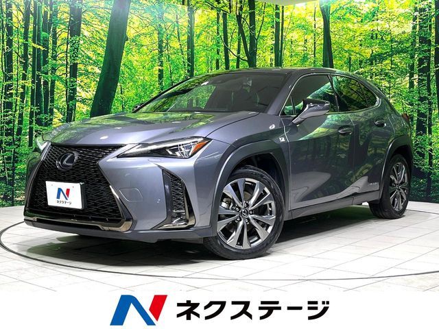 TOYOTA / LEXUS UX250h