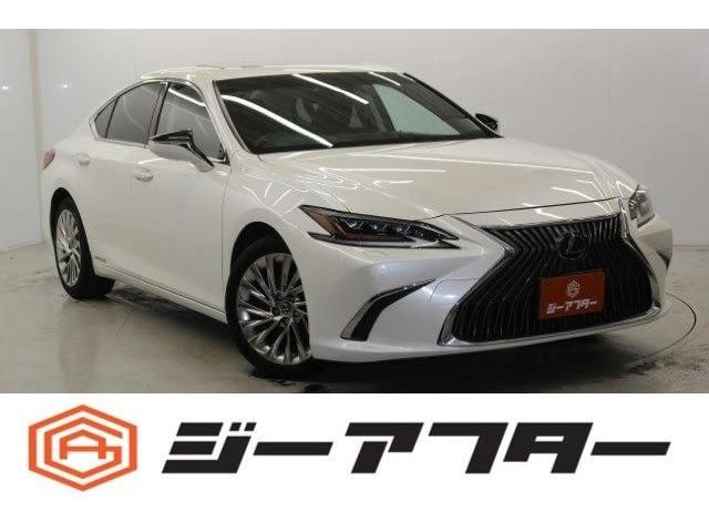 TOYOTA / LEXUS ES300h