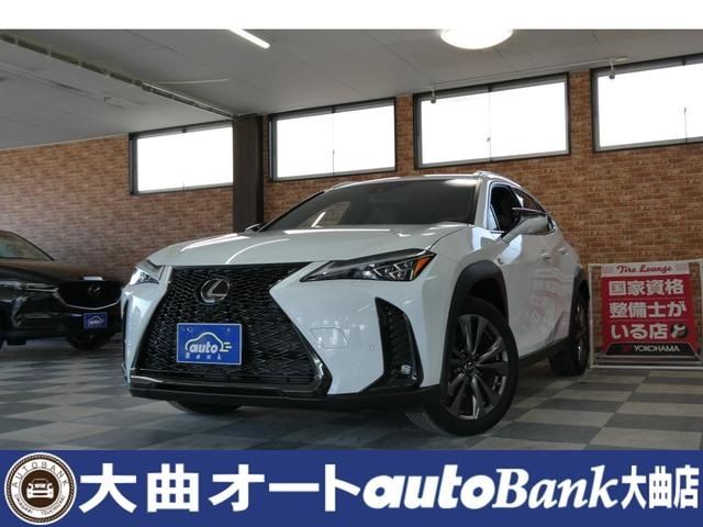 TOYOTA / LEXUS UX250h AWD