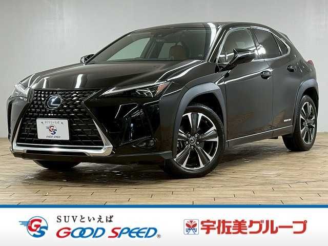 TOYOTA / LEXUS UX250h