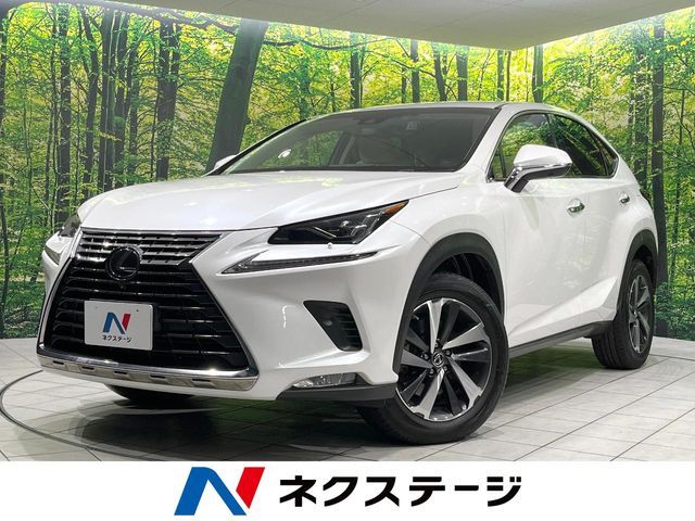 TOYOTA / LEXUS NX300