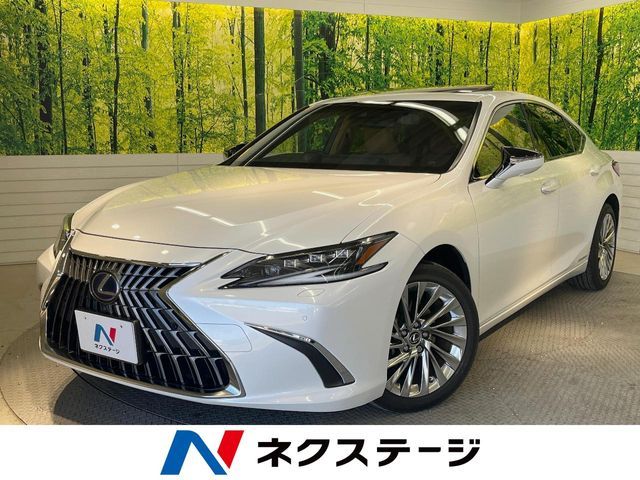 TOYOTA / LEXUS ES300h