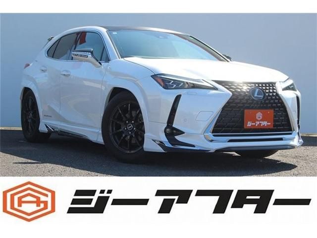 TOYOTA / LEXUS UX300e