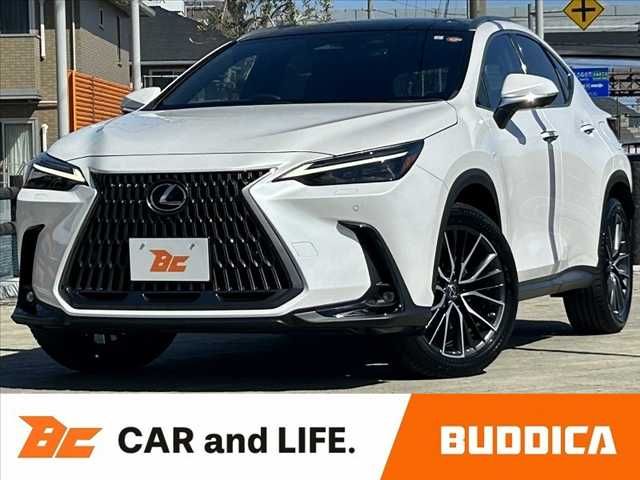 TOYOTA / LEXUS NX250