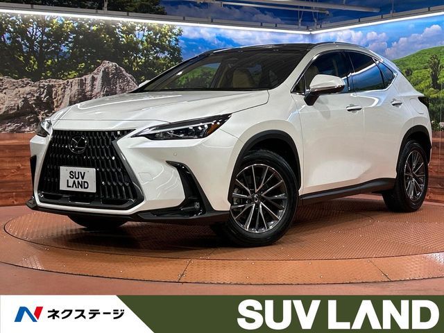 TOYOTA / LEXUS NX250