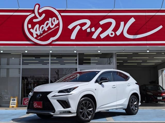 TOYOTA / LEXUS NX300 AWD