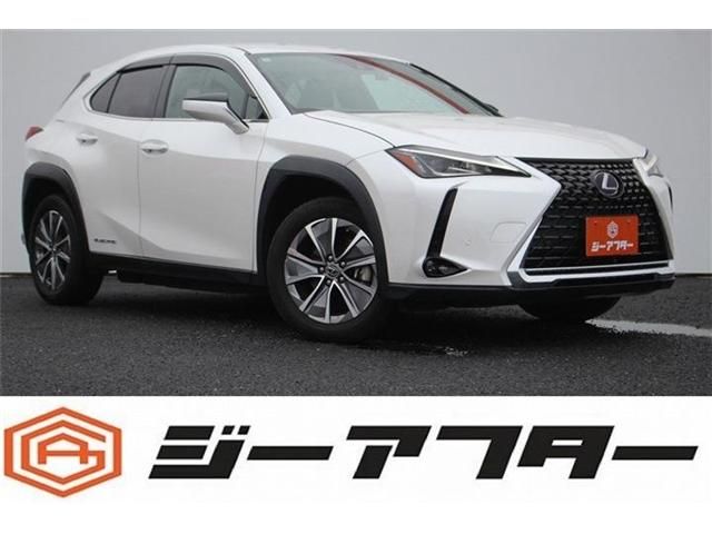 TOYOTA / LEXUS UX300e