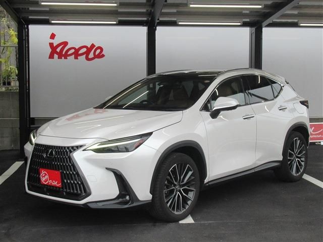 TOYOTA / LEXUS NX250