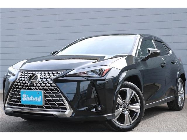 TOYOTA / LEXUS UX300h