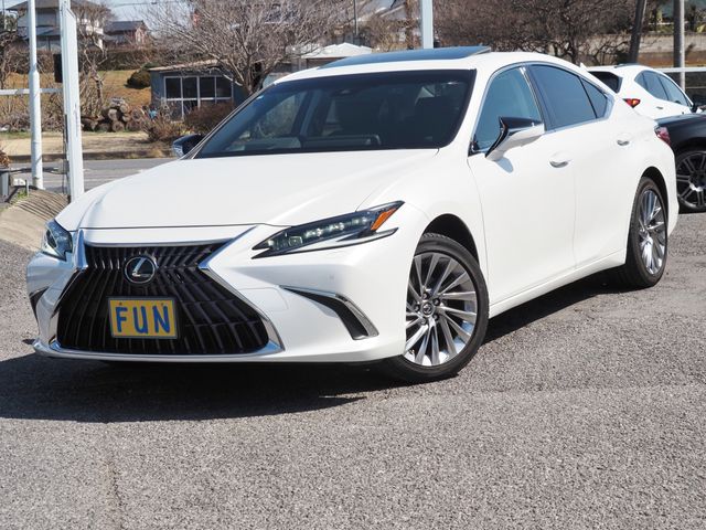 TOYOTA / LEXUS ES300h