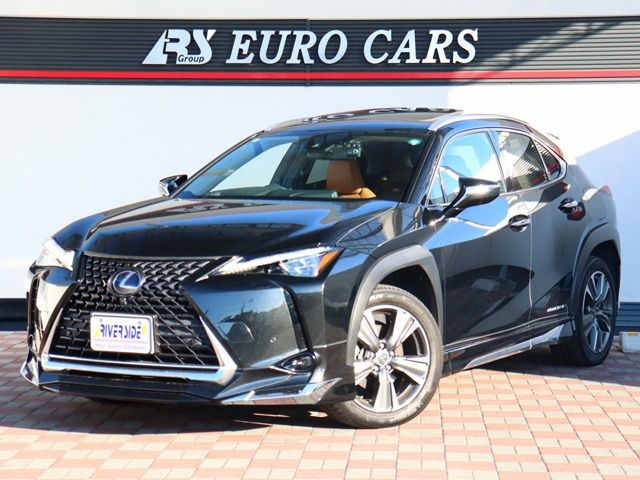 TOYOTA / LEXUS UX300e