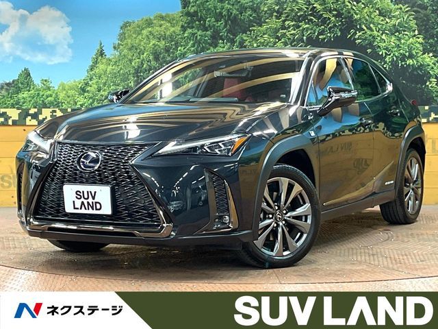 TOYOTA / LEXUS UX250h