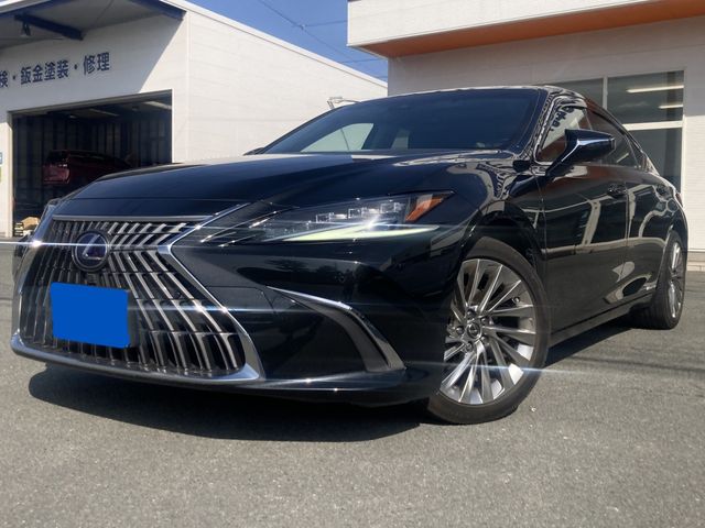 TOYOTA / LEXUS ES300h